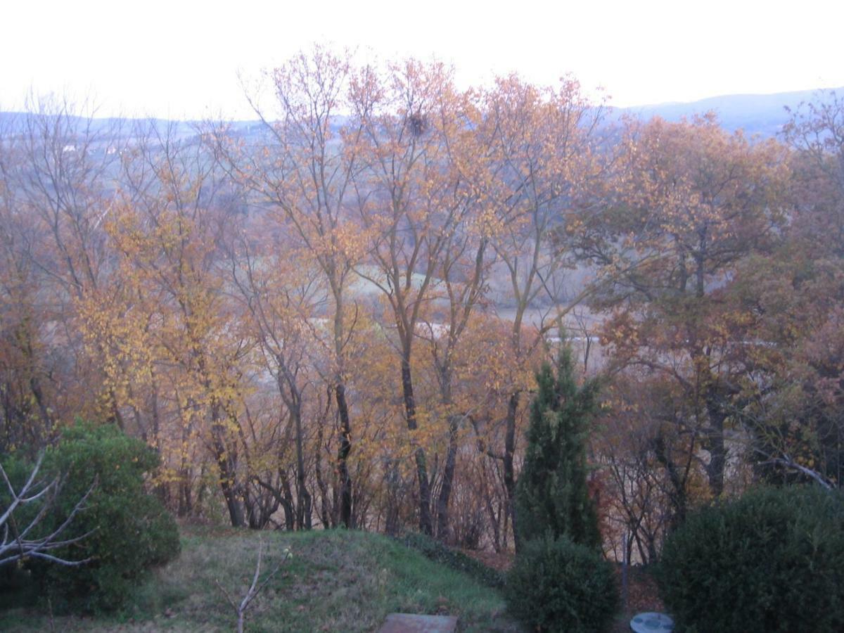 S. Bartolomeo Ii° - "La Loggetta" Appartement Montepulciano Stazione Buitenkant foto