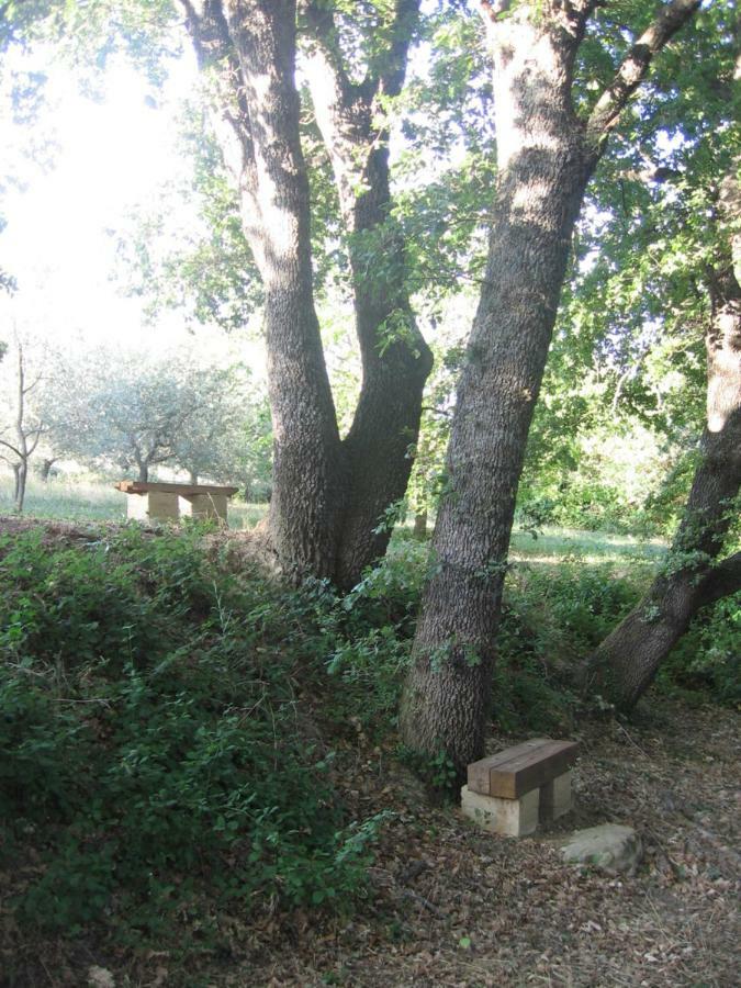S. Bartolomeo Ii° - "La Loggetta" Appartement Montepulciano Stazione Buitenkant foto